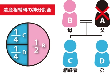 遺産相続時の持分割合(母B1/2、相談者C1/4、弟D1/4で配分)の図|