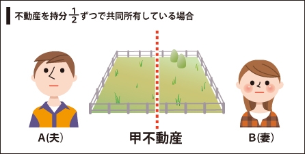 不動産を持分1/2ずつで共同所有している場合のイメージ