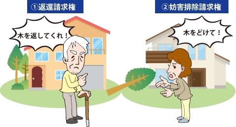 ※Aの木がBの土地に倒れてしまった状況。 Aが①返還請求権を行使し『木を返してくれ!』と主張。Bが②妨害排除請求権を行使し『木をどけてくれ』と主張。している図