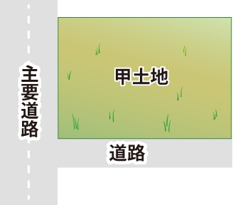 現物分割の土地の図