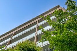 マンションの共有持分割合はどう決まる？わかりやすく解説